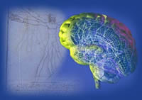 HAPPYneuron: Training Ihrer kognitiven Fähigkeiten