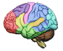 Die Vorteile HAPPYneurons