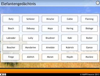 Elefantengedächtnis